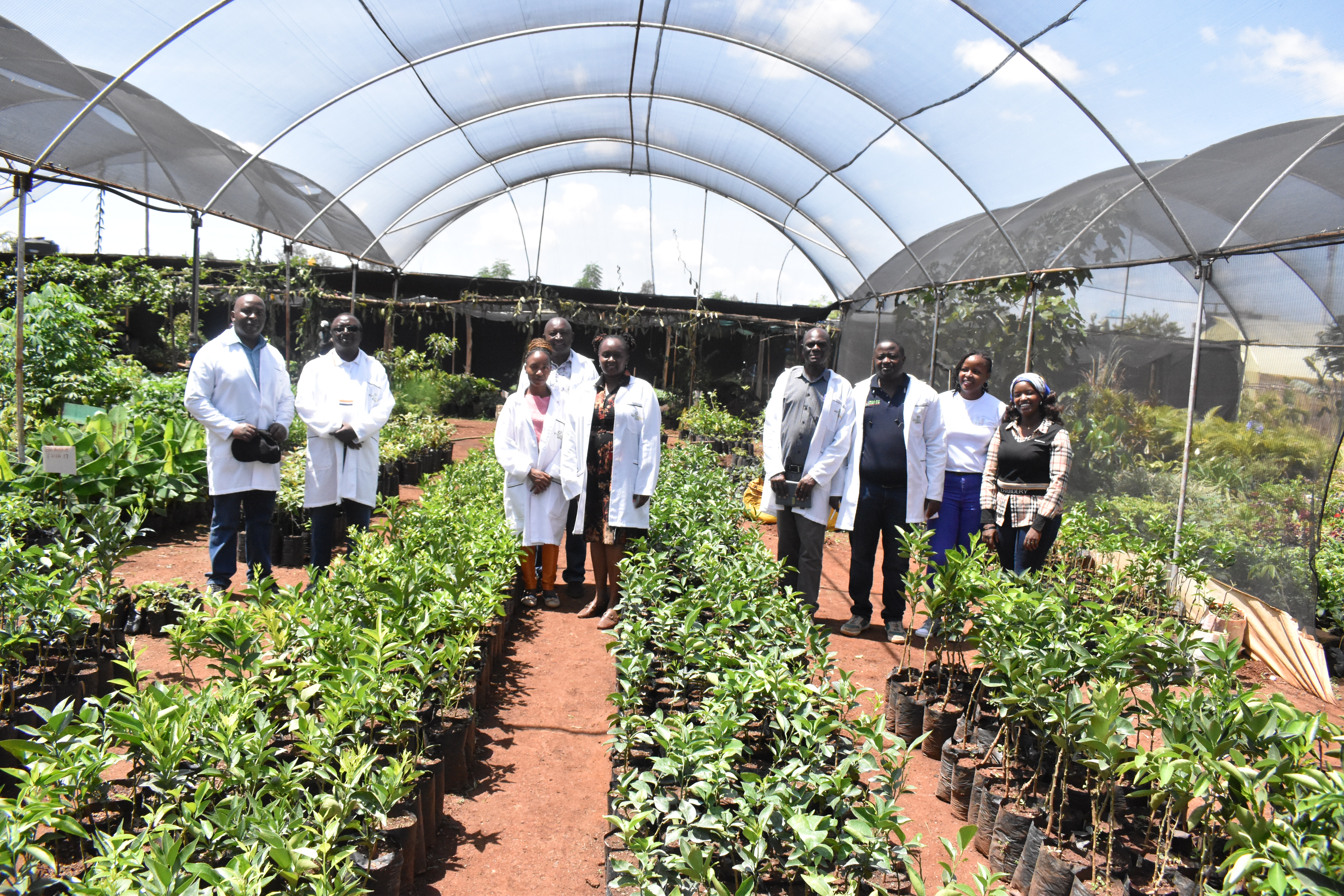 Agitech seedling company Nursery