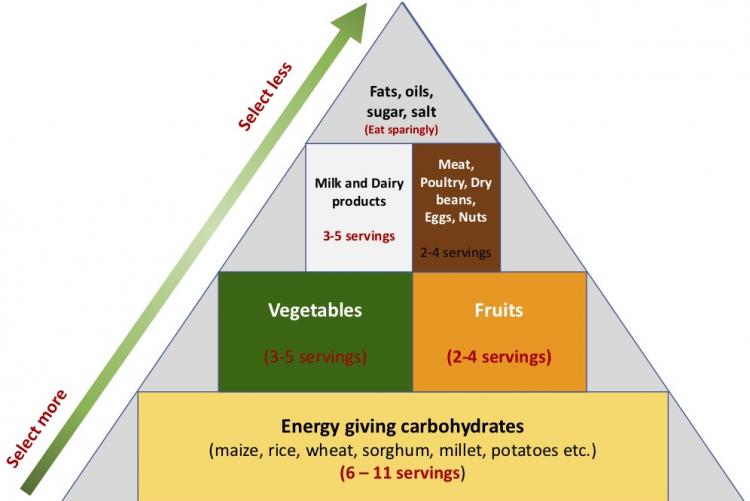 The Food Pyramid