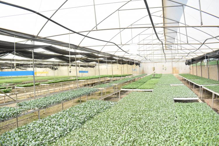 Agitech Seedlings visit