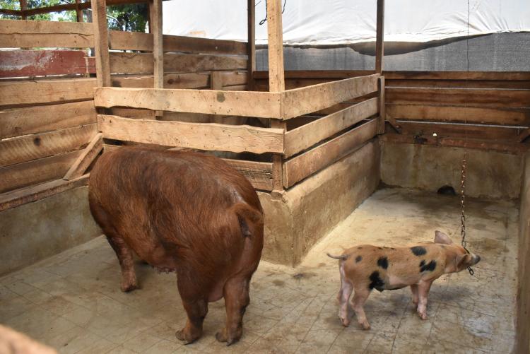 Agitech Seedlings visit