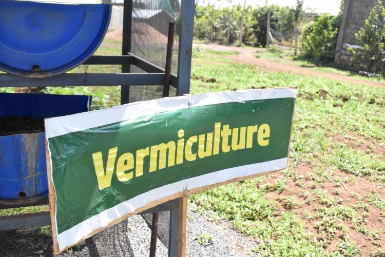 Agitech Seedlings visit