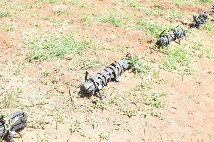 Agitech Seedlings visit