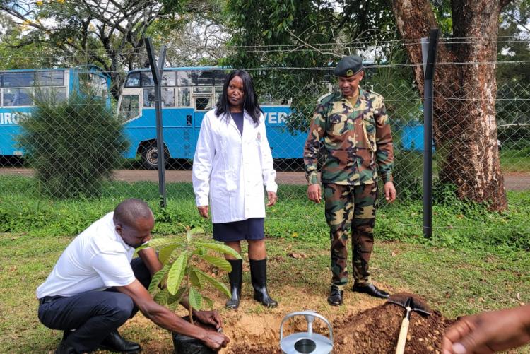 UoN Annual Tree Planting