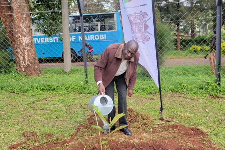 UoN Annual Tree Planting
