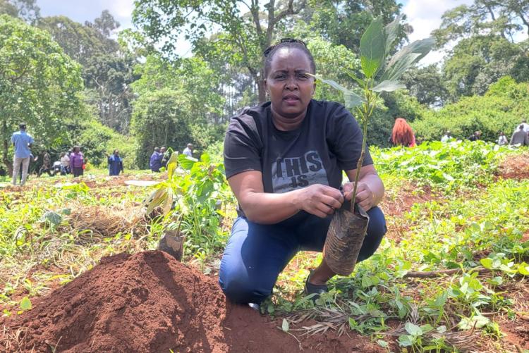 UoN Annual Tree Planting