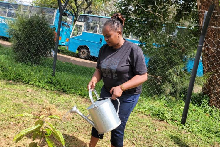UoN Annual Tree Planting