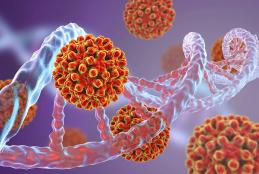 Hepatitis B Virus: The Silent Killer