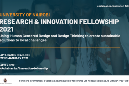 Research Innovation Fellowship
